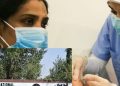 کورونا کے نئے ویرینٹ کی پاکستان میں موجودگی کی  اطلاعات  غلط قرار