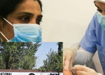 کورونا کے نئے ویرینٹ کی پاکستان میں موجودگی کی  اطلاعات  غلط قرار