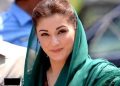 مسلم لیگ ن نے مریم نواز کو پارٹی کی تنظیم نو کا ٹاسک سونپ دیا