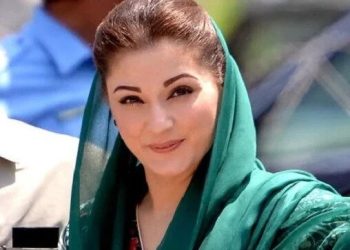 مسلم لیگ ن نے مریم نواز کو پارٹی کی تنظیم نو کا ٹاسک سونپ دیا