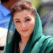 مسلم لیگ ن نے مریم نواز کو پارٹی کی تنظیم نو کا ٹاسک سونپ دیا