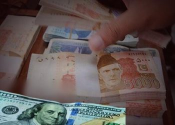 تارکین وطن کو 240 روپے فی ڈالر کی پیشکش کی جائے، حکومت کو تجویز