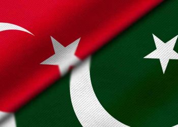 پاک ترکیہ تجارتی حجم 10 ارب ڈالر ہو گیا، صوبائی وزیر