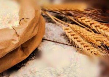 گندم  خریداری، آزاد  کشمیر حکومت پاسکو  کو 14 ارب روپے جاری کرےگی