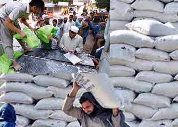 پنجاب میں 100 سے زائد ملز کا گندم کوٹہ معطل، ایسوسی ایشن کا کل سے ہڑتال کا اعلان