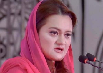 ا لیکشن کمیشن آئینی ادارہ ، عمران  کی ٹائیگر فورس نہیں بننے دیں گے، مریم اورنگ زیب