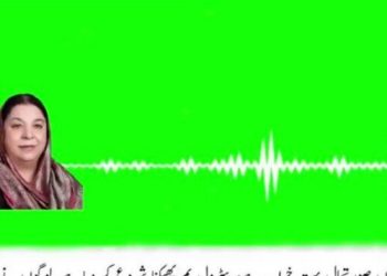 صورتحال بہت خراب ہے،عمران خان سے کہیں گرفتاری دے دیں،ڈاکٹریاسمین راشد کی صدرعلوی کو فون کال