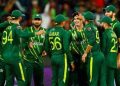 پاک بمقابلہ نیوزی لینڈ:کراچی اور راولپنڈی میں میچز کے ٹکٹ  فروخت کے لیے دستیاب