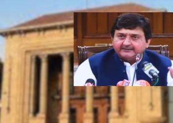 malik muhammad ahmed khan political background