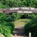 islamabad trail 5 margalla