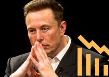 elon musk assets
