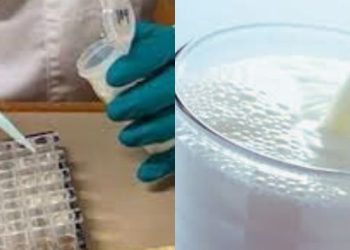 milk test