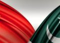 شہباز شریف نے چینی شہریوں کے لیے مفت ویزے کا اعلان کر دیا