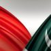 شہباز شریف نے چینی شہریوں کے لیے مفت ویزے کا اعلان کر دیا