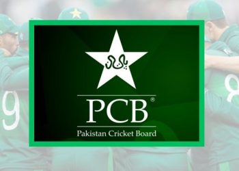PCB cricket