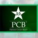 PCB cricket