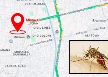 Mianwali Dengue DHQ Hospital