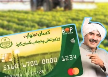 kisan card Punjab numbers