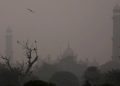 Lahore ,Multan Smog Health Emergency