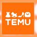 Europe to Probe TEMU