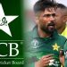bowler Amir retires