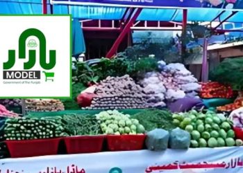 model bazar punjab