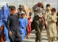 afghan citizenz